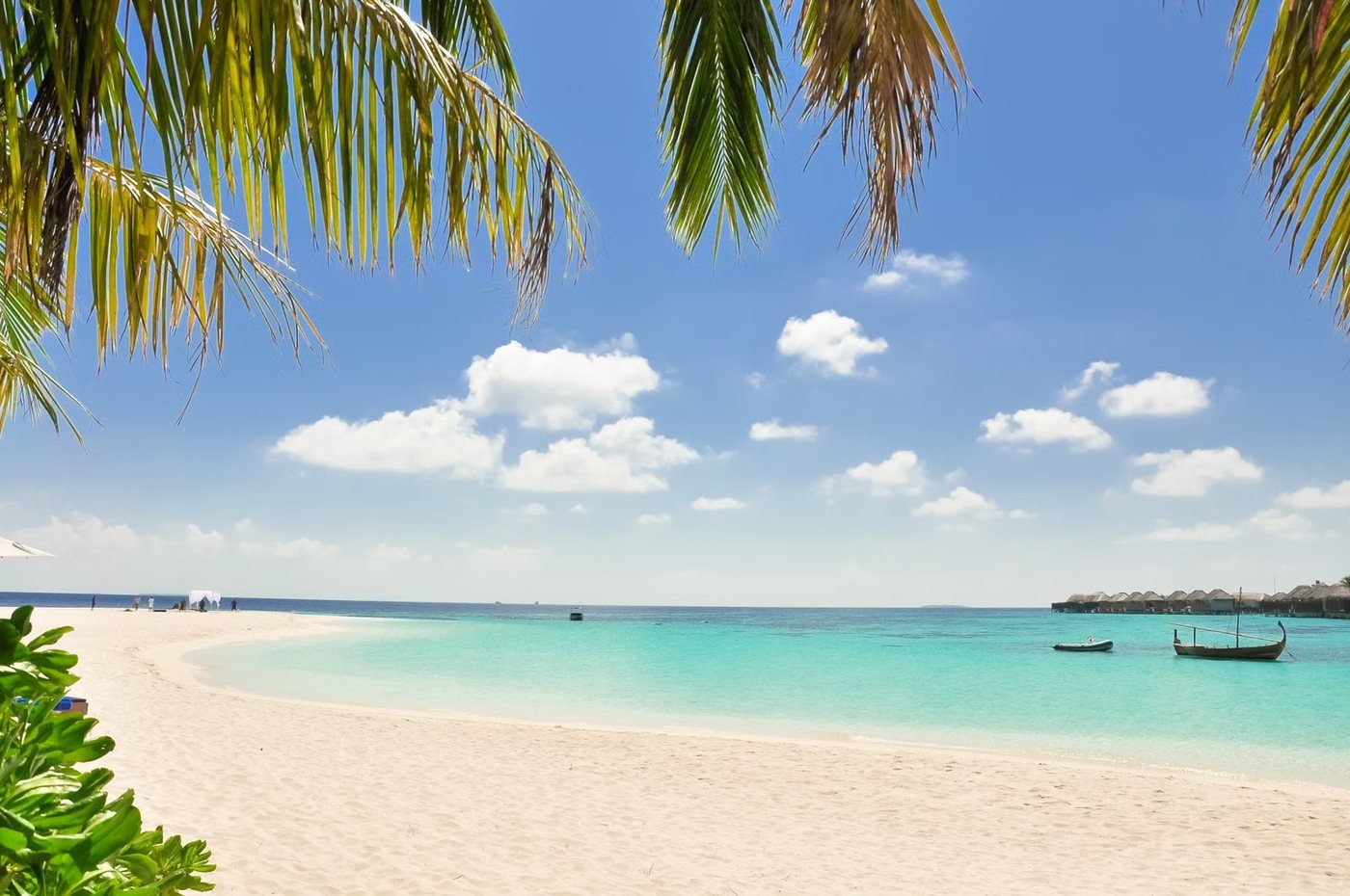 White sand beach and turquoise water framed by palms